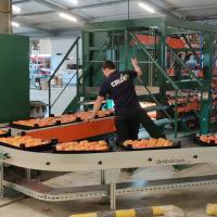 VDL Groep acquires Crux Agribotics, strengthening its position in Foodtech